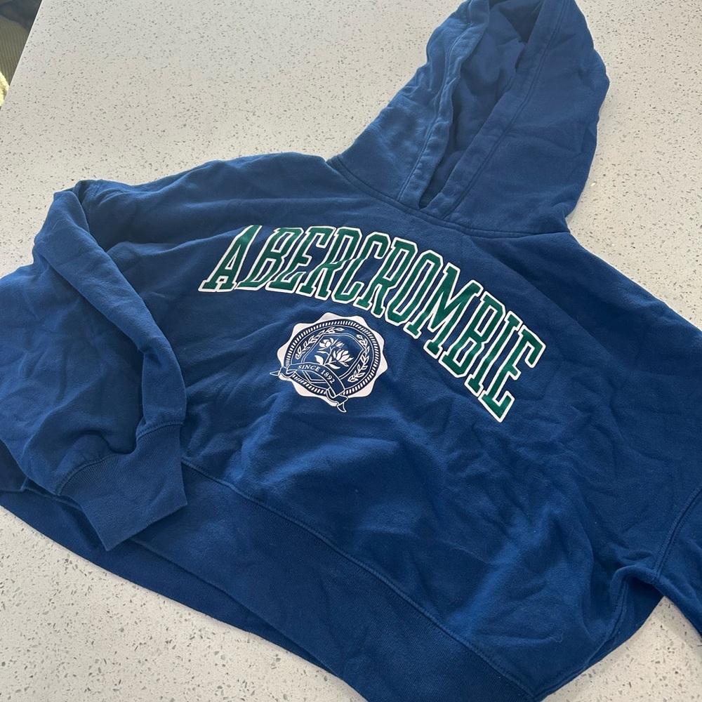 Abercrombie Blue Hoodie